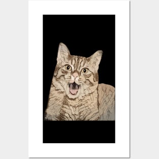 Amazed kitten. Kitten Posters and Art